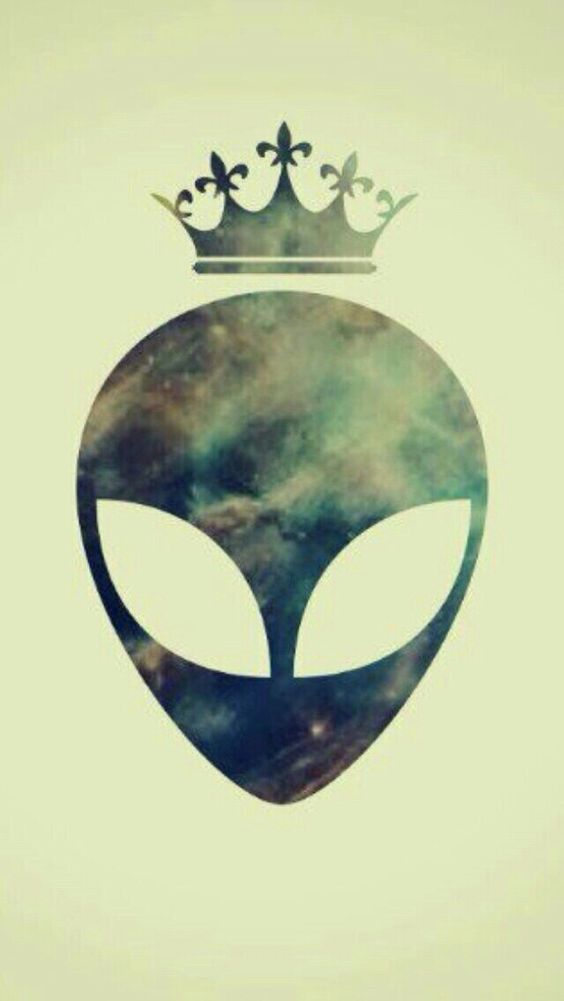 2f4161b337dea56e859ede966a57de13