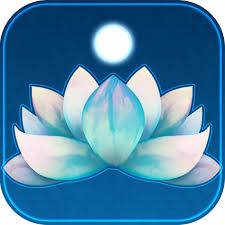 En aucun cas, les Apps ne remplacent le cerveau humain! Comme l’a écrit Georges Orwell, «Vous ne possédez rien, en dehors de quelques centimètres cubes de votre crâne.»